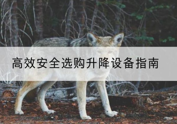 金口河升降货梯厂家推荐-*安全选购升降设备指南