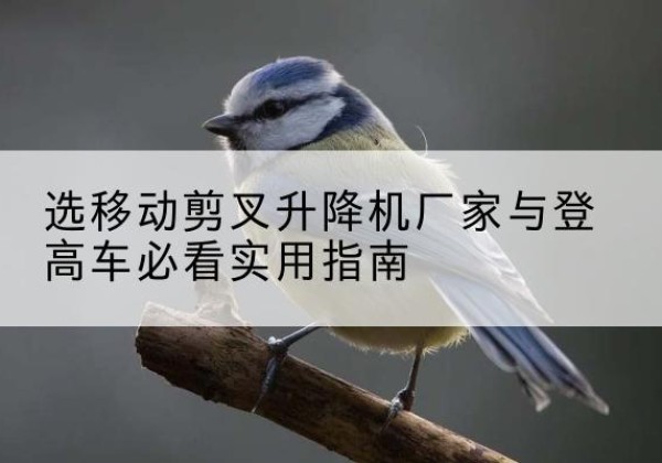 金口河电动升降机厂家-选移动剪叉升降机厂家与登高车必看实用指南
